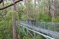 Walpole Tree Top walk